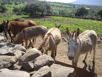 agriturismo sardinië - overnachten bij de boer